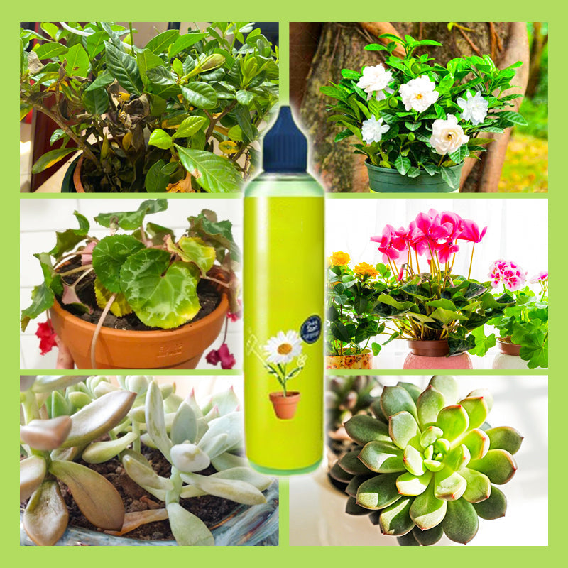 š„2025 New Arrivalš„ Liquid Nutrient For Outdoor & Indoor Plants