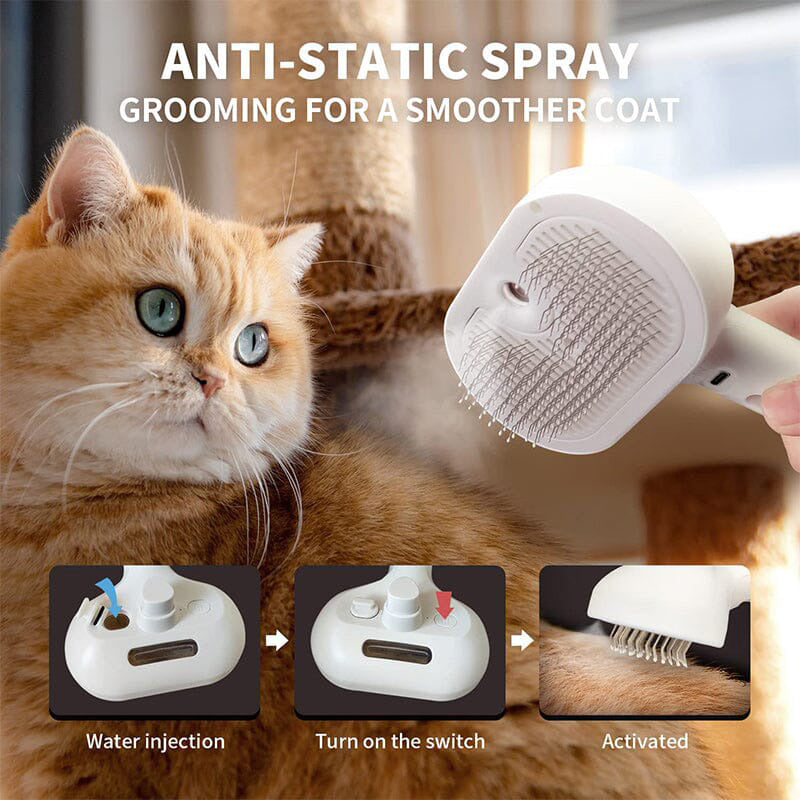 🔥49% korting voor een beperkte tijd!🔥Spray Kattenborstel(gratis verzending)