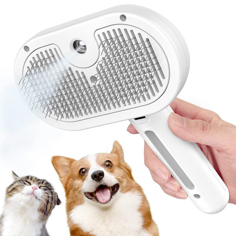 🔥49% korting voor een beperkte tijd!🔥Spray Kattenborstel(gratis verzending)