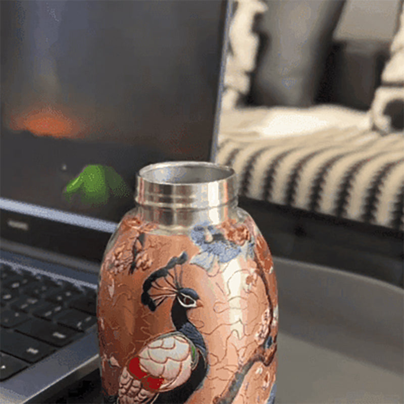 🔥KOOP ER 2, KRIJG ER 1 GRATIS🔥Stylish & Portable Isulated Water Bottle🎒 Keep Drinks Hot or Cold, Enjoy Fresh Drinks Anytime, Anywhere!