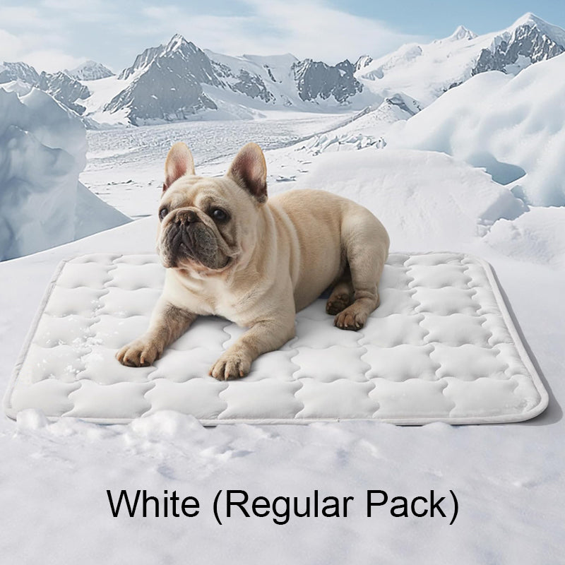 🐶❄️Houd uw huisdier weg van de hitte 🐱