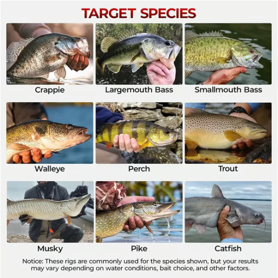 🐟264-delige visuitrusting – Professionele set voor zoetwatervissen – Inclusief waterdichte doos – Haakjes en jigkoppen van topkwaliteit 🎣