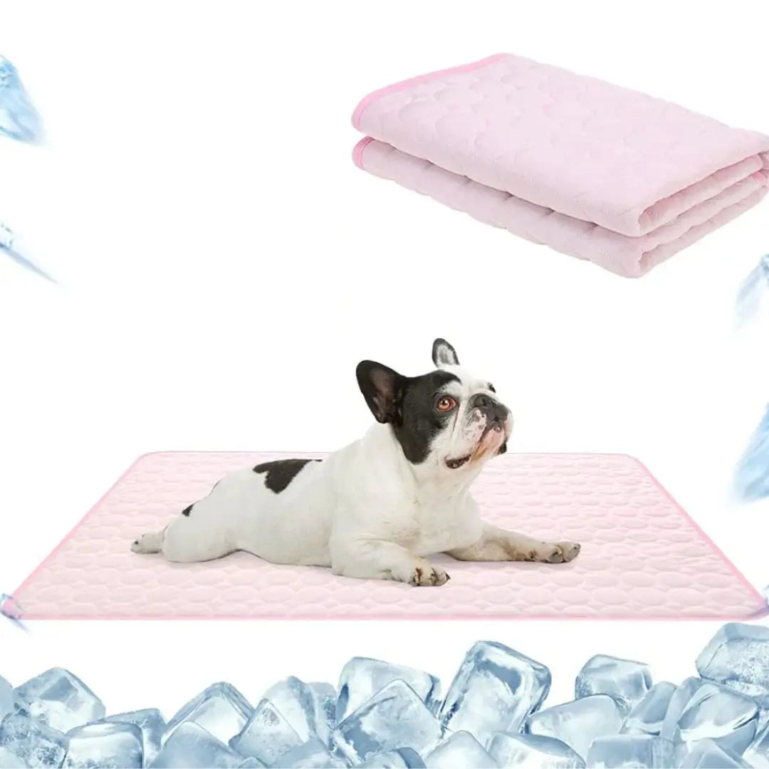 🔥🧊Letzter Tag 49 % Rabatt😍Emmalove Kühlmatte für Hunde & Katzen - Selbstkühlend für alle Haustiere | Extra leicht & geruchlos | 100x70cm Universalgröße🐶🐱