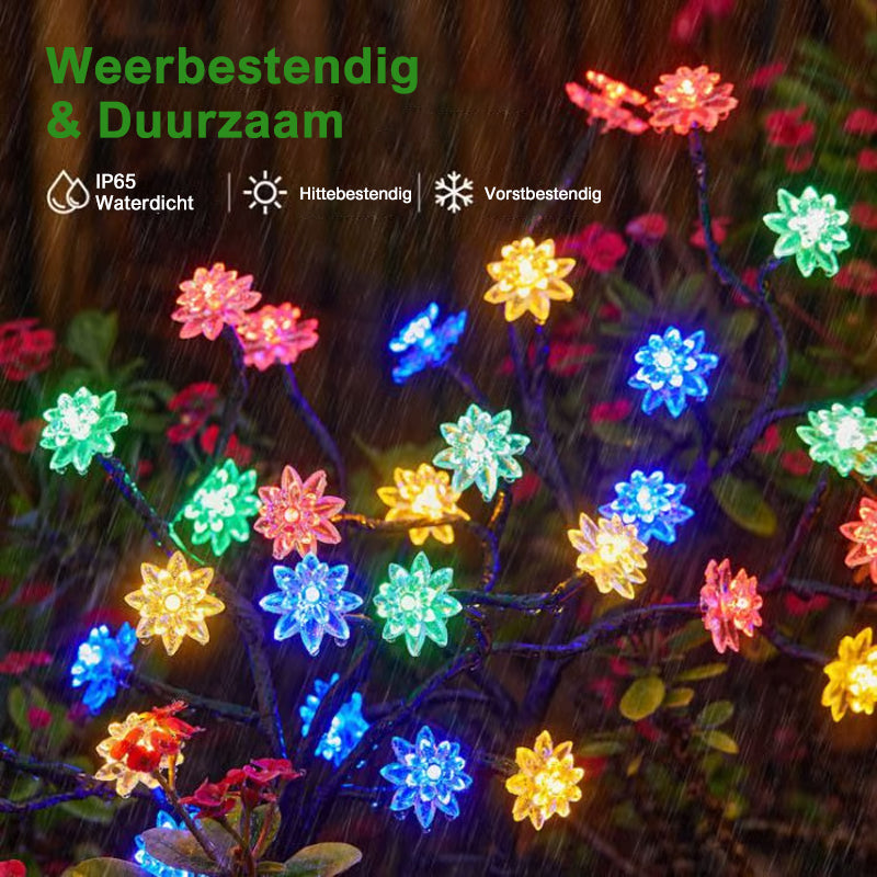 Zonne-energie Aangedreven Weerbestendige Tuin LED Verlichtingsset