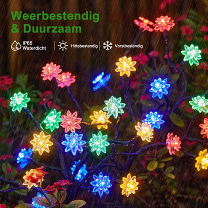 Zonne-energie Aangedreven Weerbestendige Tuin LED Verlichtingsset