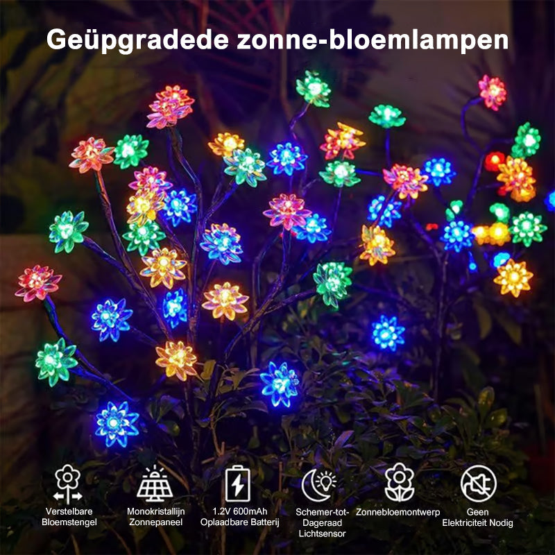 Zonne-energie Aangedreven Weerbestendige Tuin LED Verlichtingsset