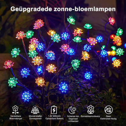 Zonne-energie Aangedreven Weerbestendige Tuin LED Verlichtingsset