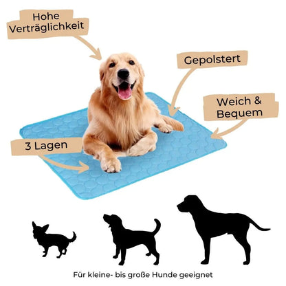 🔥🧊Letzter Tag 49 % Rabatt😍Emmalove Kühlmatte für Hunde & Katzen - Selbstkühlend für alle Haustiere | Extra leicht & geruchlos | 100x70cm Universalgröße🐶🐱