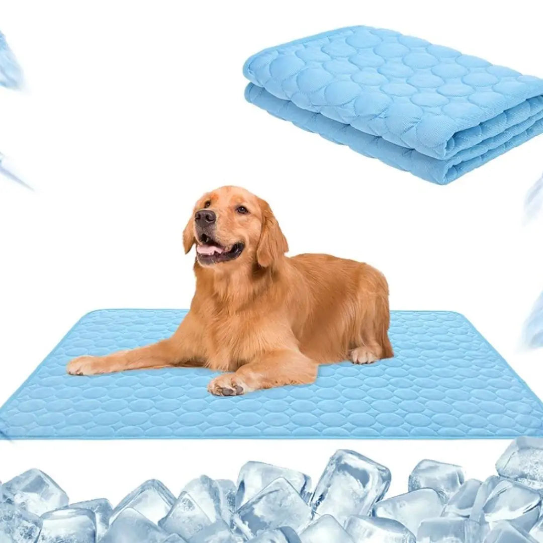 🔥🧊Letzter Tag 49 % Rabatt😍Emmalove Kühlmatte für Hunde & Katzen - Selbstkühlend für alle Haustiere | Extra leicht & geruchlos | 100x70cm Universalgröße🐶🐱
