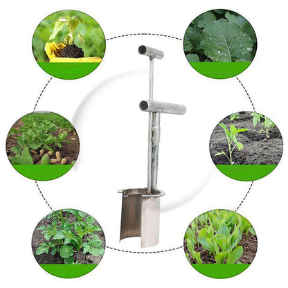 Plant- en Fruitboom Zaailingen Transplanteerder