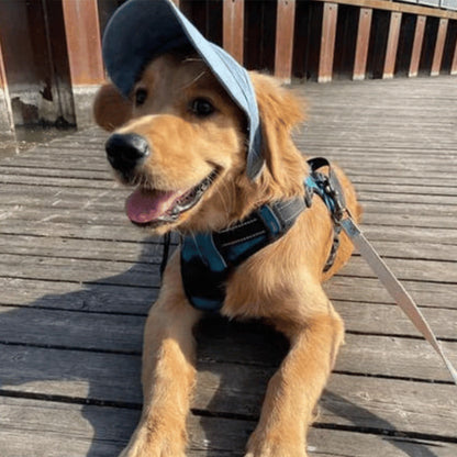 🔥Zonnekap voor buitengebruik voor honden