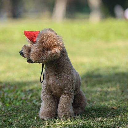 🔥Zonnekap voor buitengebruik voor honden