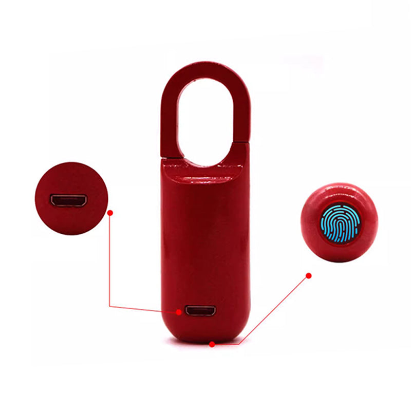 Mini vingerafdruk hangslot (Gratis bezorging)
