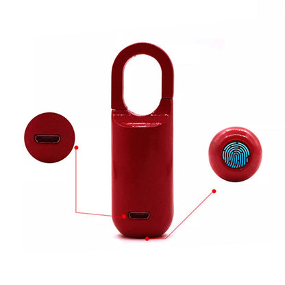 Mini vingerafdruk hangslot (Gratis bezorging)