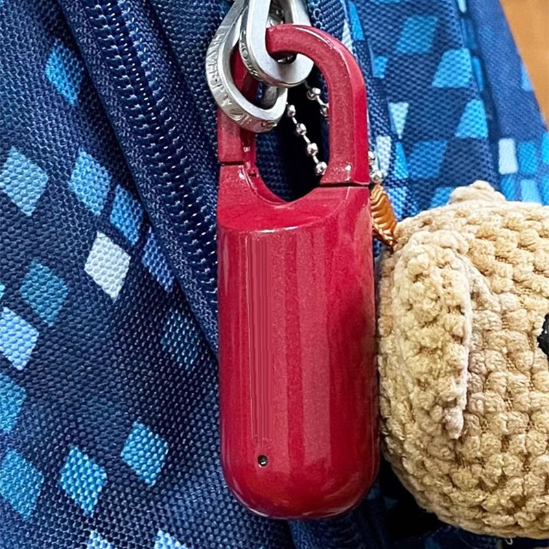 Mini vingerafdruk hangslot (Gratis bezorging)