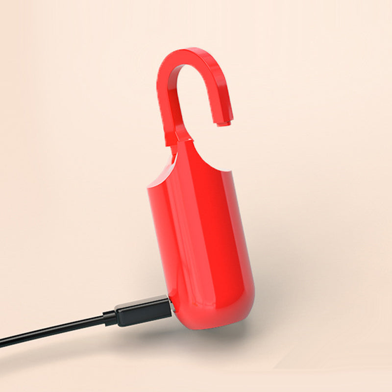 Mini vingerafdruk hangslot (Gratis bezorging)