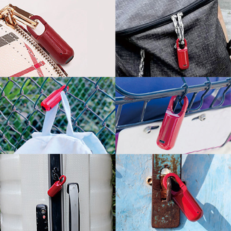 Mini vingerafdruk hangslot (Gratis bezorging)