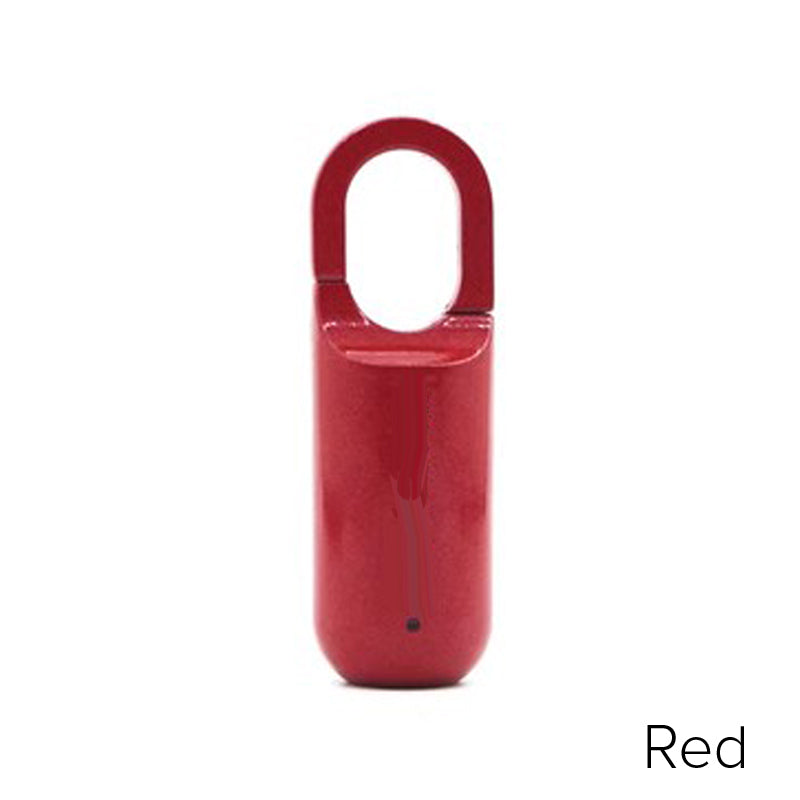 Mini vingerafdruk hangslot (Gratis bezorging)