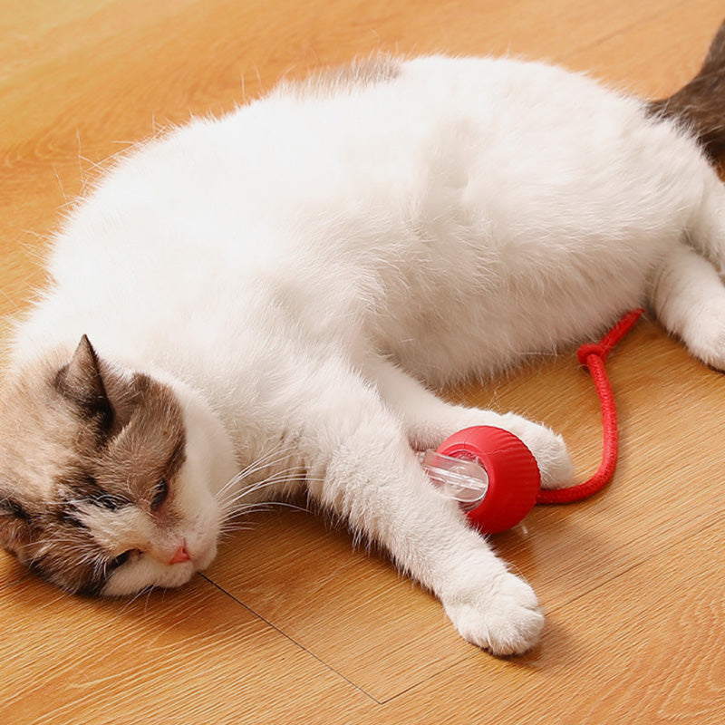 Slimme Automatisch Rollende Dierenbal