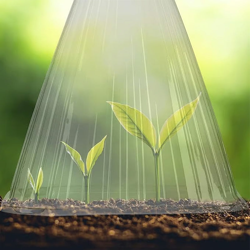 20/30 STUKS Heldere Tuincloche voor Planten