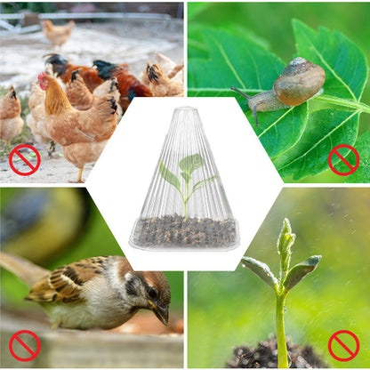 20/30 STUKS Heldere Tuincloche voor Planten