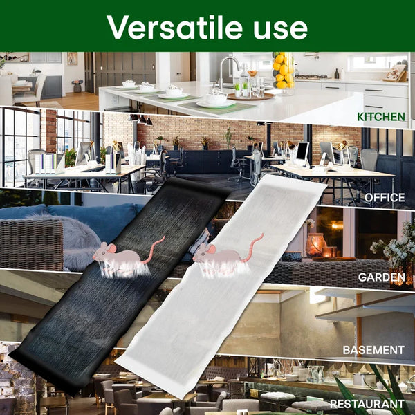 💥 UITVERKOOP 50% KORTING - Muizenval: Bestrijd Knaagdieren Eenvoudig & Effectief!