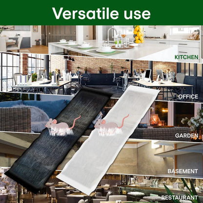 💥 UITVERKOOP 50% KORTING - Muizenval: Bestrijd Knaagdieren Eenvoudig & Effectief!