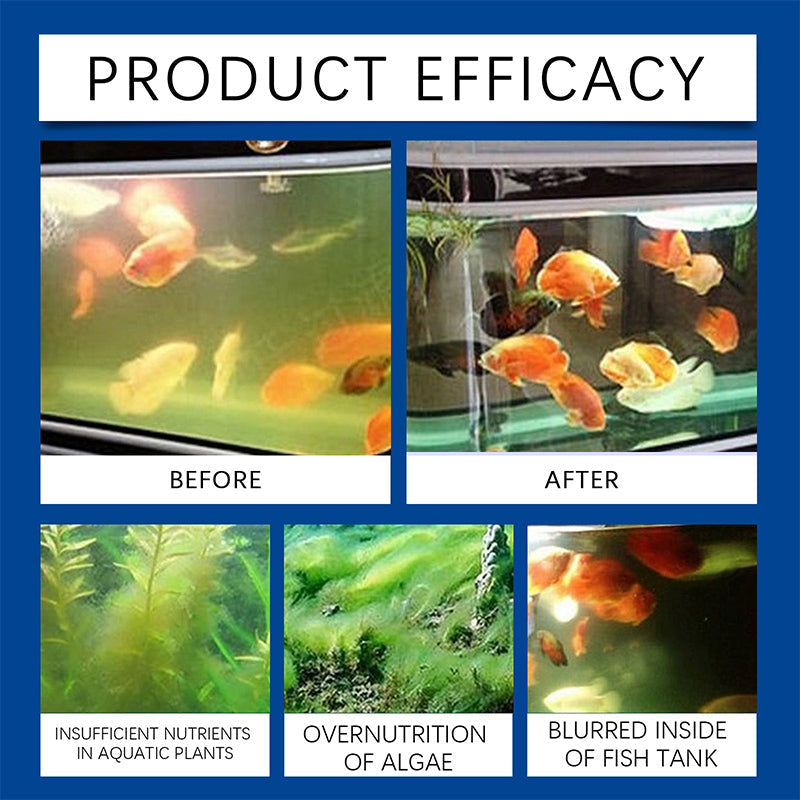 Fish Tank Water Krachtige Cleane