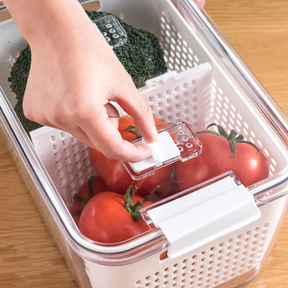 ⭐⭐⭐⭐⭐[Praktisch cadeau] Verse groente fruit opslag container