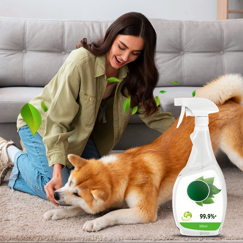 ✨ Nieuwjaars Opruimactie: Huisreinigings- en Desinfectiespray – Nu extra scherp geprijsd!