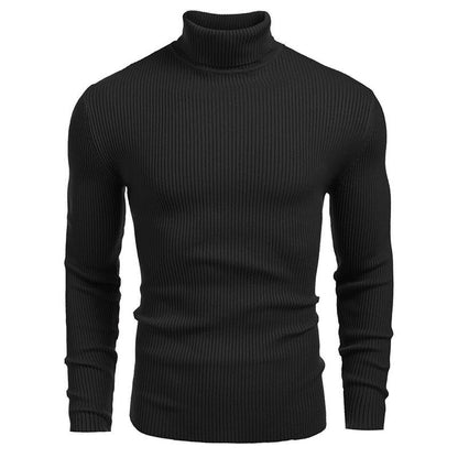 Winter Men's Knitted Turtleneck Slim Sweater
