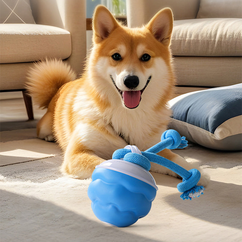 💥50% KORTING🐶 Geluidsgeactiveerde Kauwbare Speelbal Voor Kat En Hond
