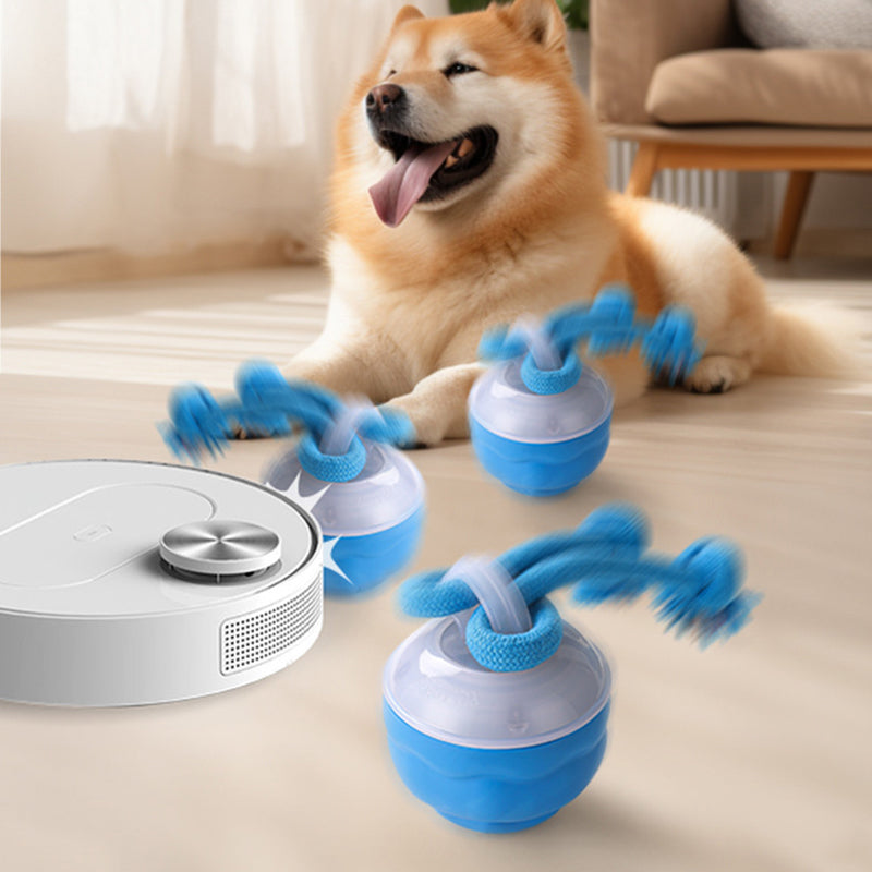 🐶😍Interactieve, rustgevende speelbal voor huisdieren