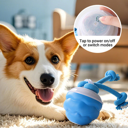 🐶😍Interactieve, rustgevende speelbal voor huisdieren