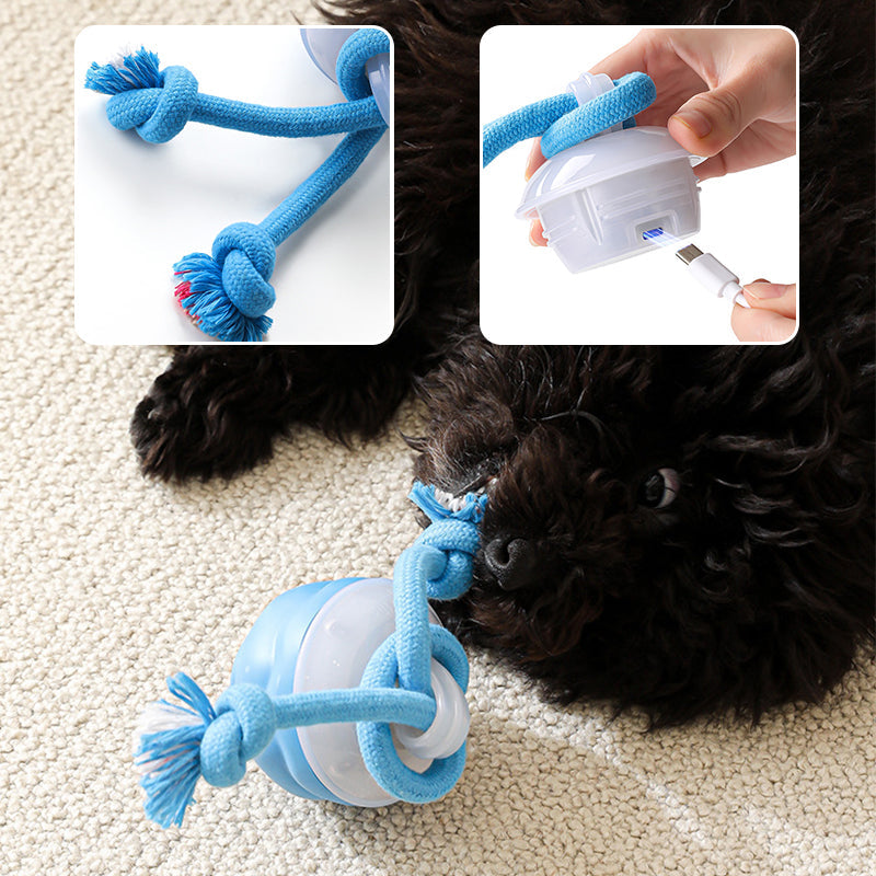 🐶😍Interactieve, rustgevende speelbal voor huisdieren