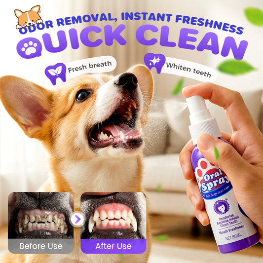 🔥2026 Nieuw binnen: tijdelijk 50% korting!🔥DentaClean tandreinigingsspray voor huisdieren