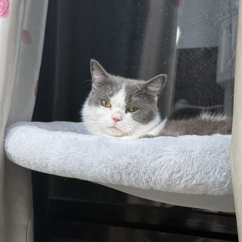🐱Opvouwbare raamhangmat voor katten met zuignappen | De ultieme plek om te zonnen
