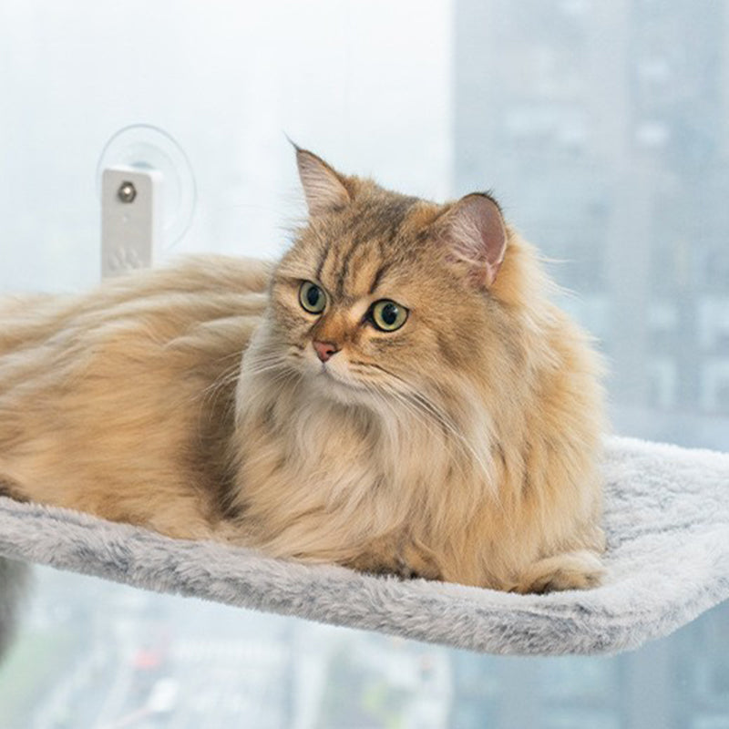 🐱Opvouwbare raamhangmat voor katten met zuignappen | De ultieme plek om te zonnen