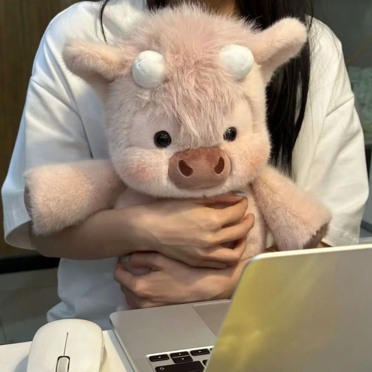 🧸Schattige knuffel van een Schotse hooglandkoe