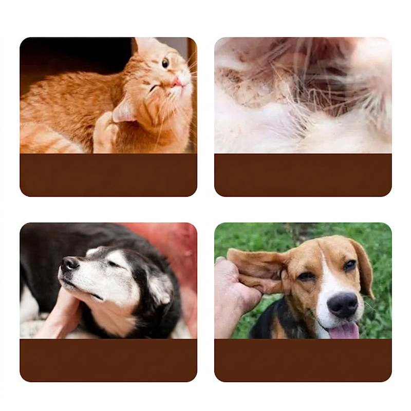 🐱🐶Tea Tree-oorreiniger voor katten en honden | Zacht • Effectief • Verlicht jeuk
