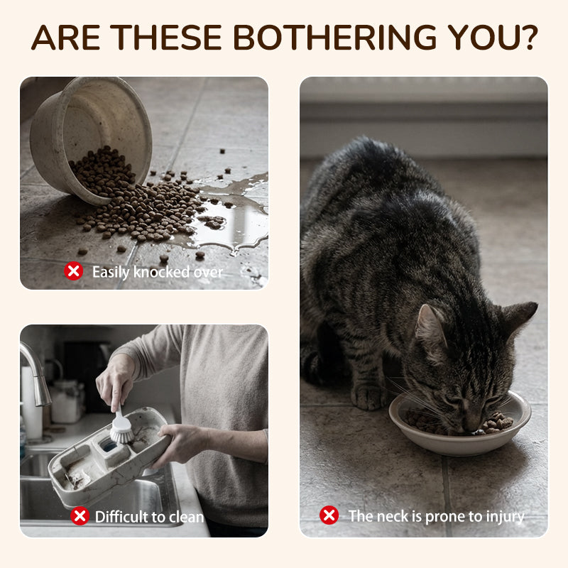 🟔🎁Nieuws: 50% KORTING🟔Verhoogde voerbak voor honden en katten met 3 bakjes – antislip en stabiel 🐾🥣