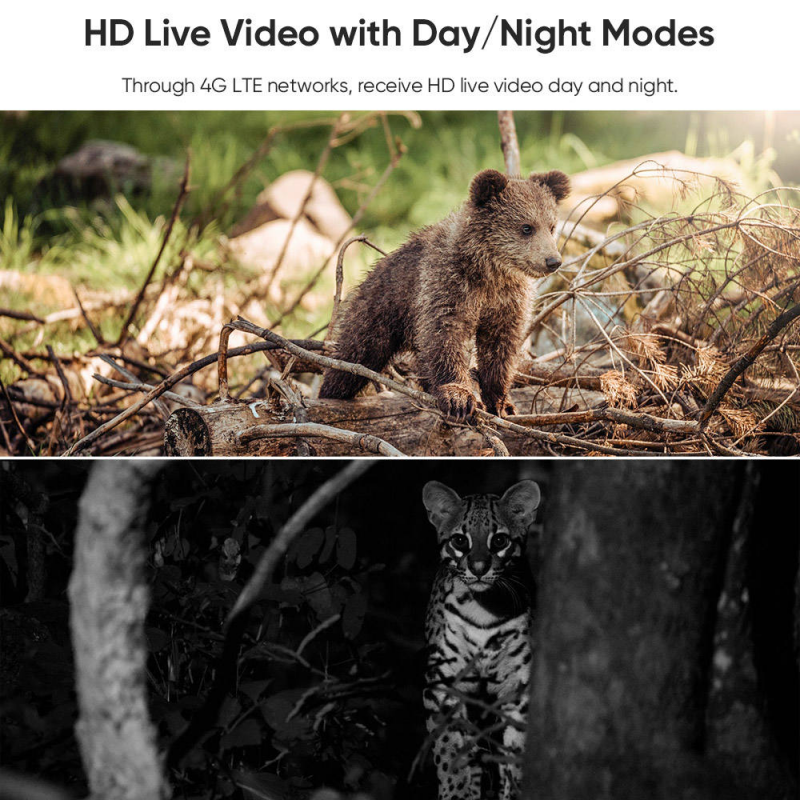🔥🎥 4G LTE Draadloze Zonne-energie Bewakingscamera CB114S – 💎 2K HD Real-Time Preview, 360° Panoramische Dekking, Geen Wi-Fi Vereist, Afstandsbediening via App, Waterdicht, Bewegingsdetectie, Nachtzicht, Geschikt voor Buitengebruik