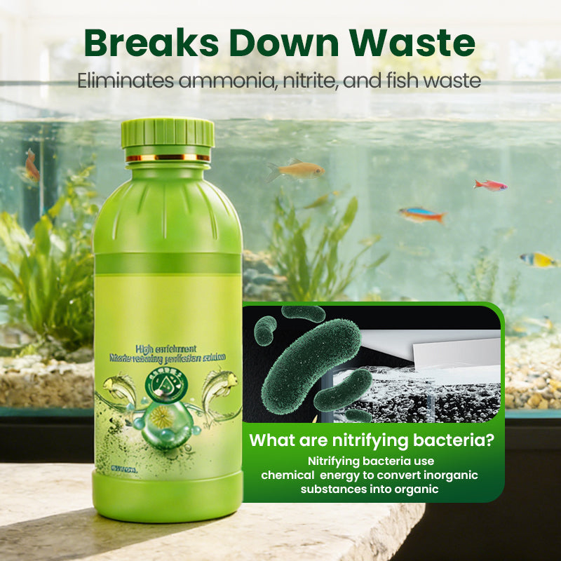Nitrificerende bacteriën – Waterzuiveraar voor aquaria