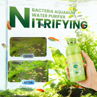 Nitrificerende bacteriën – Waterzuiveraar voor aquaria