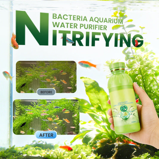 Nitrificerende bacteriën – Waterzuiveraar voor aquaria