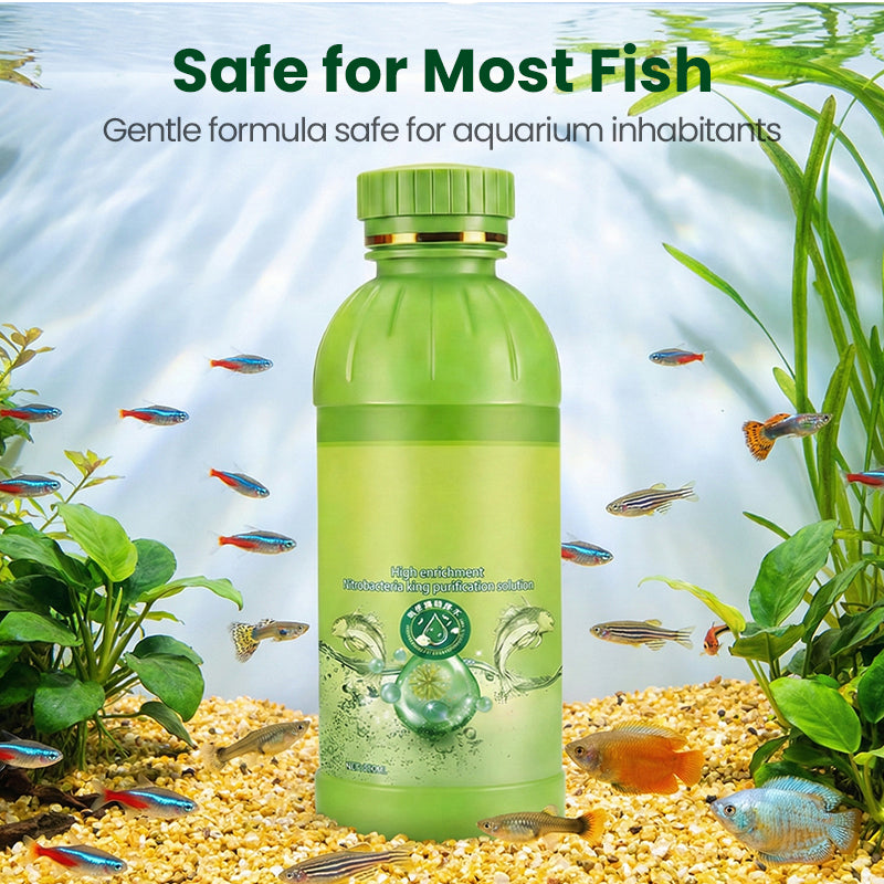 Nitrificerende bacteriën – Waterzuiveraar voor aquaria