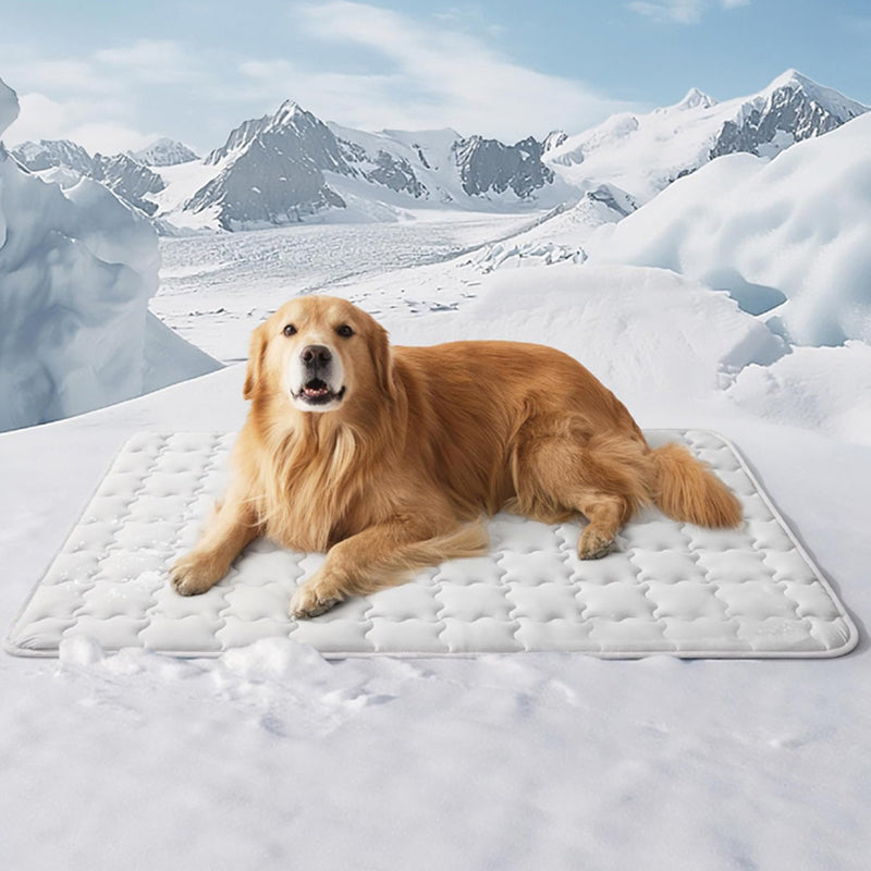 🐶❄️Houd uw huisdier weg van de hitte 🐱