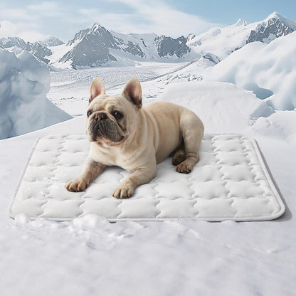 🐶❄️Houd uw huisdier weg van de hitte 🐱