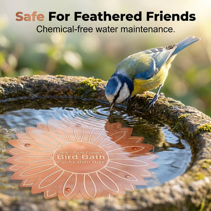 🌻Beperkte tijd Koop 1 Krijg 1 Gratis✨Massief Koperen Vogelbad Zuiveringsschijf – Houdt Vogelbadwater Kristalhelder & Schoon